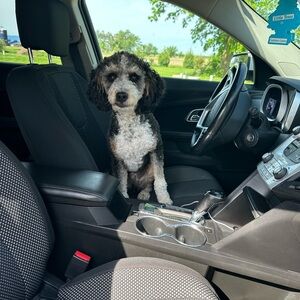 Meet your Posher, Leah